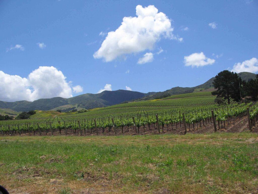 Central Coast Wineries borvidék, USA