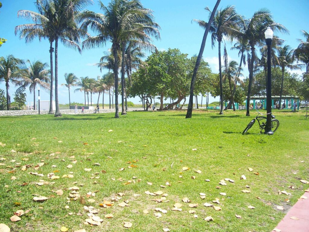 Sétálj egyet a Lummus Park-ban!