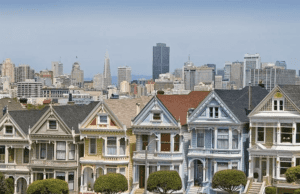 Painted Ladies