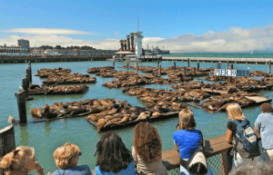 Fisherman’s Wharf